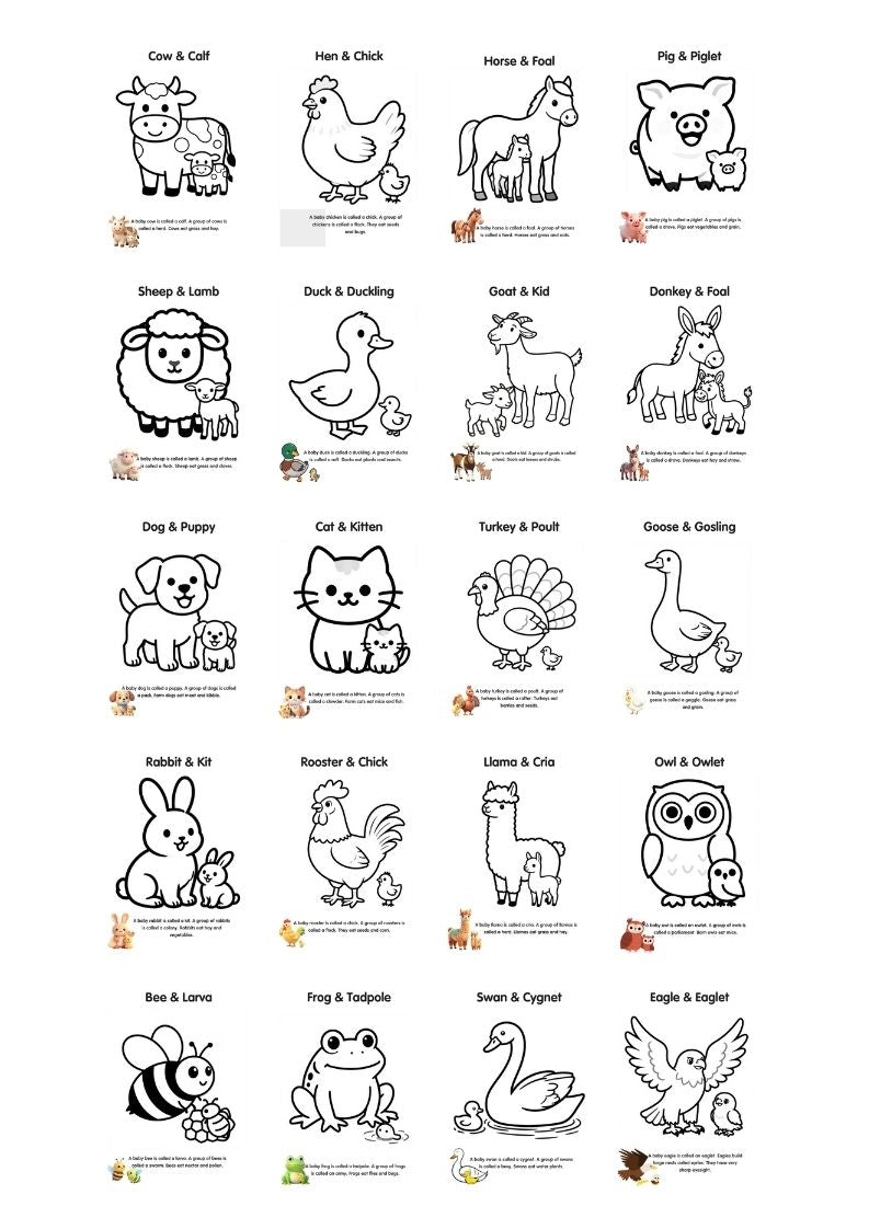 Farm Friends Early Learning Colouring and Fact Book