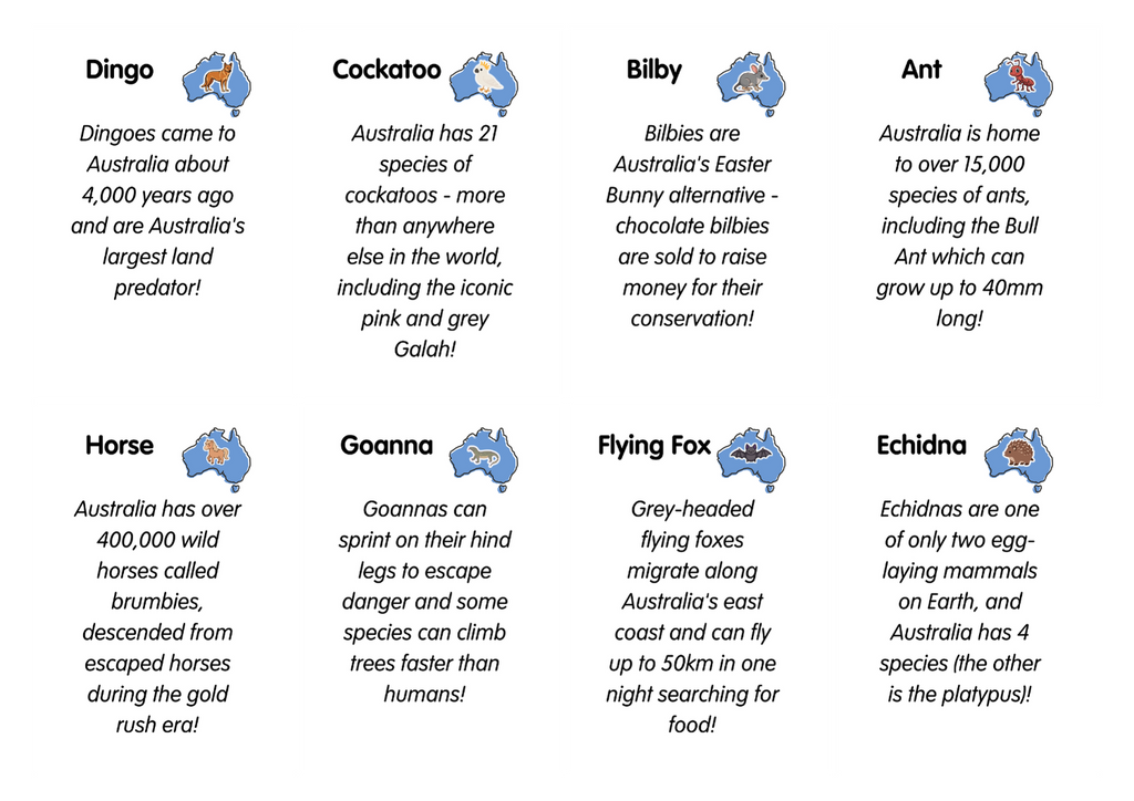 A–Z Animals in Australia Flashcards | Fun Facts for Kids