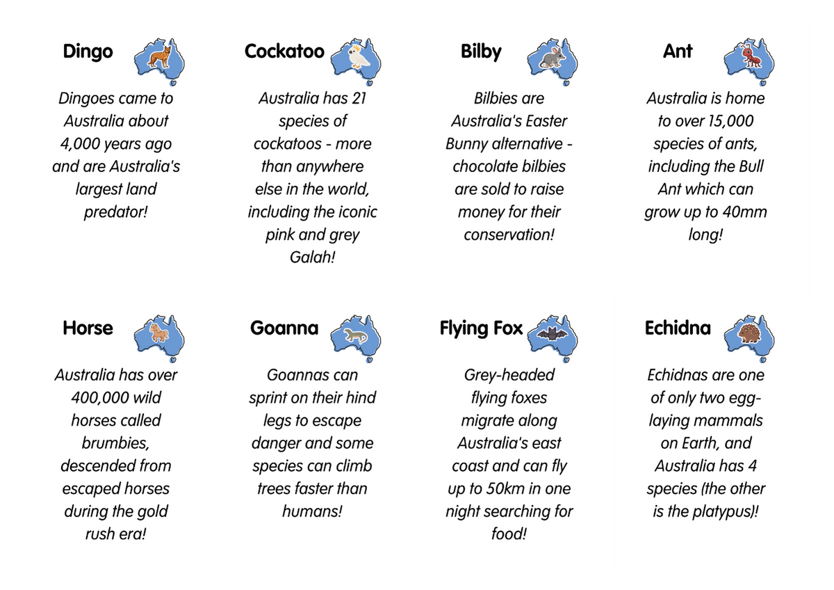 A–Z Animals in Australia Flashcards | Fun Facts for Kids