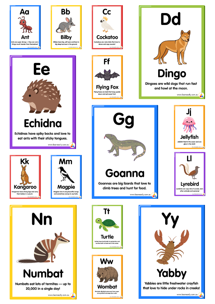 A children's educational learning cards featuring animals in australia, each paired with an animal name and a large animal illustration such as a rabbit, cactus, dingo, echidna, flying fox, jellyfish, kangaroo, magpie, goanna, turtle, crab, and wombat.