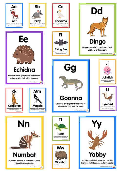 A children's educational learning cards featuring animals in australia, each paired with an animal name and a large animal illustration such as a rabbit, cactus, dingo, echidna, flying fox, jellyfish, kangaroo, magpie, goanna, turtle, crab, and wombat.