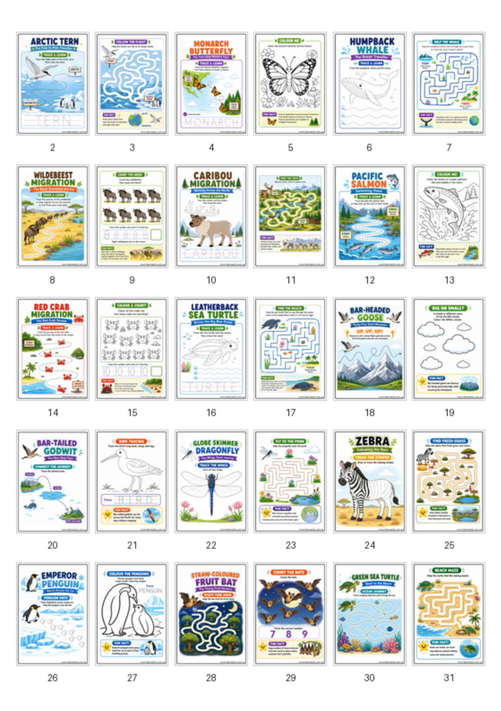 Amazing Animal Migration Printable Activity Pack