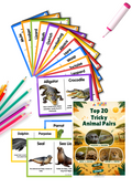 Look-Alike Animals: Tricky Pairs Flashcard Pack